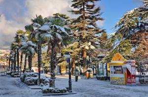 Новый 2020 год в Крыму: недорогие отели с программой – ТОП-5