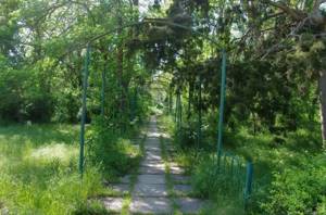 Сакский курортный парк в г. Саки, Крым: адрес, фото, описание