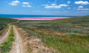 Розовые озера в Крыму: где находятся, как доехать, когда цветут
