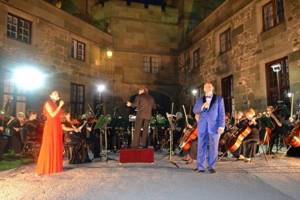 Концерты в Воронцовском дворце Крыма в 2017 году