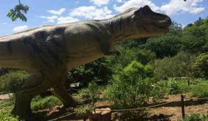 Парк динозавров в Никите, Ялта: цены, адрес, время работы, фото