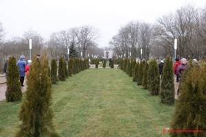 Комсомольский парк в Керчи: где находится, реконструкция, фото