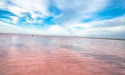 Розовые озера в Крыму: где находятся, как доехать, когда цветут