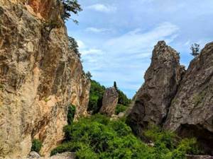 Никитская расселина (Аянские скалы) в Крыму: фото, как добраться, описание