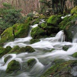 Река Хаста-Баш и карстовый источник в Алупке, Крым: фото, легенды, отдых