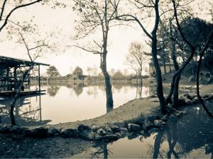 Васильевское озеро в Васильевке, Ялта: рыбалка, отзывы, фото
