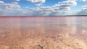 Озеро Сасык-Сиваш (Розовое) в Крыму: на карте, фото, описание