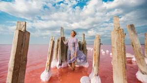 Кояшское озеро в Крыму: где находится, как добраться, описание