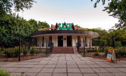 Все о санатории Парус в Гаспре, Крым: отзывы, сайт
