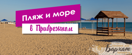 Гостевые дома в Прибрежном (Крым, Саки): цены, отзывы, фото