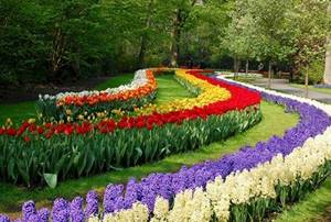 Парад тюльпанов 2020 в Никитском ботаническом саду, Крым