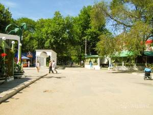 Сакский курортный парк в г. Саки, Крым: адрес, фото, описание