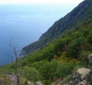 Гора Аю-Даг (Медведь-гора, Медвежья) в Крыму: фото, как добраться, описание