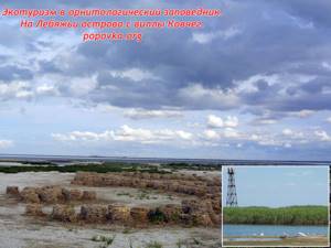 Лебяжьи острова в Крыму: фото заповедника, как добраться, описание