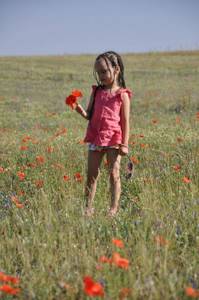 Маковые поля в Крыму: где находятся, когда цветут маки, фото, экскурсии