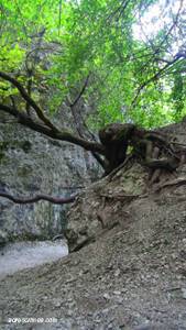 Скалы Еды-Аскер у горы Крокодил, Крым: на карте, фото, как доехать