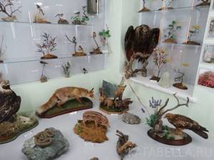 Музей природы Карадага в Курортном, Крым: адрес, фото, отзывы