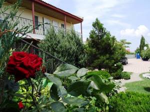 Гостевой дом Ксюша в Оленевке (Крым): фото, цены, отзывы, контакты