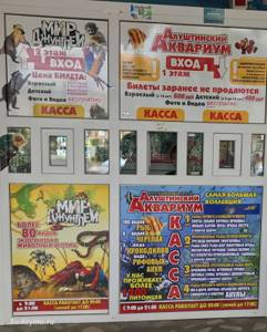 Аквариум в Алуште (Крым): сайт, цены, адрес, фото, описание