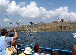 Отель «Морской конек» в Коктебеле (Крым): сайт, отзывы, описание