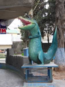 Аквариум в Алуште (Крым): сайт, цены, адрес, фото, описание