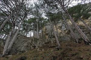 Водопад Купель Дианы в ущелье Темиар, Ялта, Крым: фото, как добраться, описание