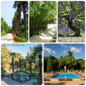 Никитский ботанический сад (Ялта, Крым): цены, фото, сайт, как добраться, описание
