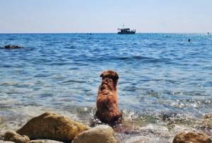 Пляж Баунти – Фиолент, Севастополь: как добраться, фото, описание
