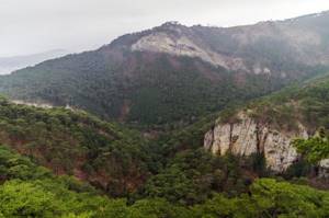 Водопад Купель Дианы в ущелье Темиар, Ялта, Крым: фото, как добраться, описание