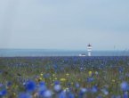 Пляжи Межводного, Крым: отзывы, фото набережной, описание