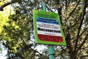 Все о Мисхорском парке в Крыму: фото, как добраться, описание