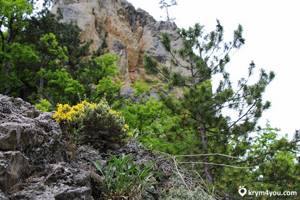 Пещера Данильча-Коба в Крыму: как добраться, фото грота, обзор