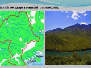 Заповедники Крыма: все национальные парки, заказники и охраняемые территории