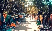 Поселок Андреевка (Севастополь, Крым): отдых, фото, отзывы