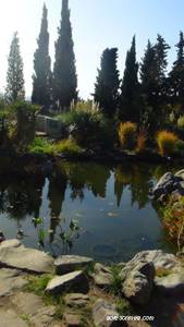 Парк Монтедор – Крым, Ялта, Никитский ботанический сад