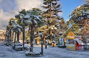 Новый 2020 год в Крыму: недорогие отели с программой – рейтинг