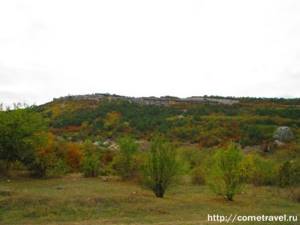 Ослиная ферма «Чудо-ослик» в Бахчисарайском районе (Крым): сайт, фото, описание