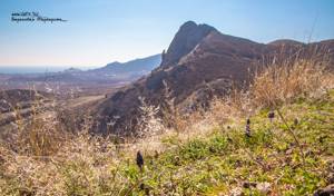 Гора Лягушка (Бакаташ) в Судаке, Крым: как добраться, фото, на карте