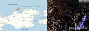 Казантипский природный заповедник (мыс Казантип) в Крыму: фото, отзывы, описание