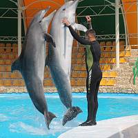Дельфинарий в Оленевке (Крым, Тарханкут, Большой Атлеш)